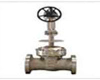 Cryogenic Valves