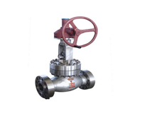 Globe Valve