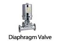 Diaphragm check valve