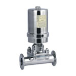 Safety Relief Valve